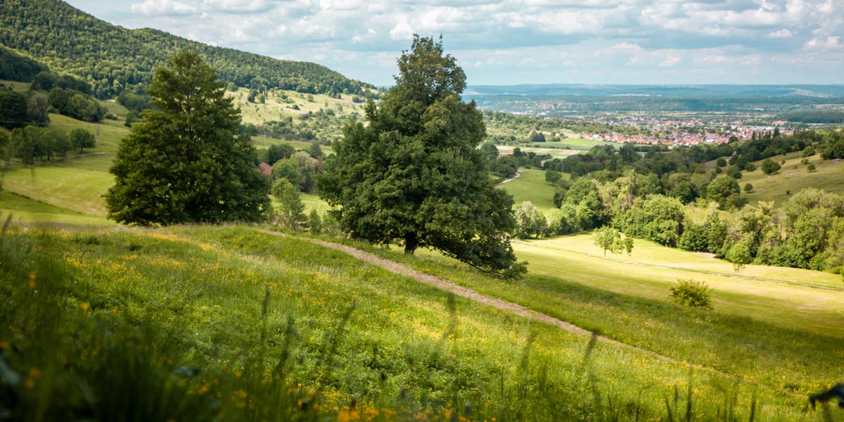 The Irish countryside — farmers are the custodians of this landscape