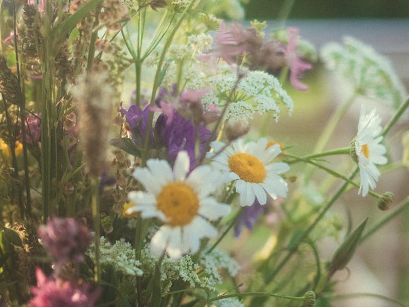 Beautifully wrapped gift boxes — seeds make thoughtful, sustainable presents