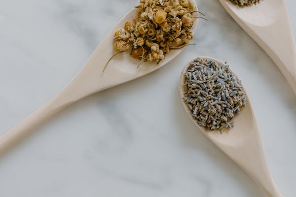 Dried herbs on wooden spoons — traditional preservation